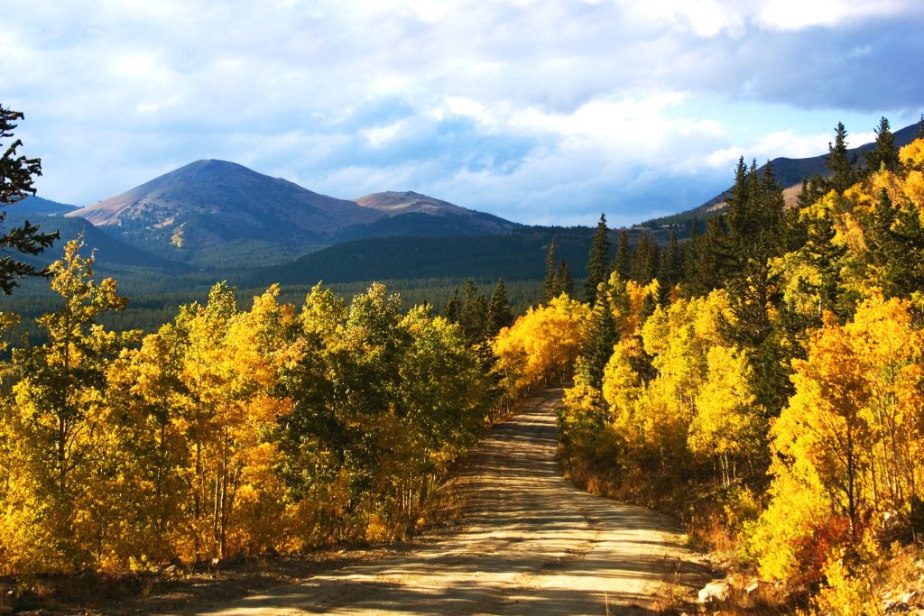 boreas pass road Breckenridge fall leaf peeping aspen trees